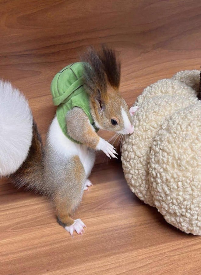 TTMIMIK Cute Squirrel Costumes Turtle Shell Kawaii Squirrel Clothes for Small Rabbit Guinea Pig Ferret and Other Small pet (Medium) - Image 3